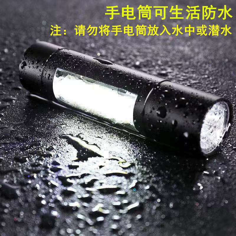 Rechargable UV Torch with COB