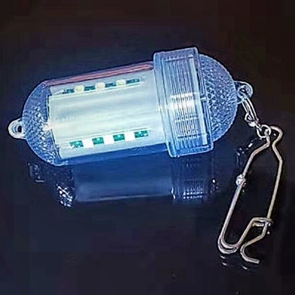 Battery operated underwater light