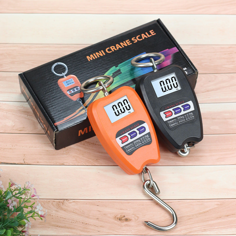Mini Crane Scale 200kg WS06