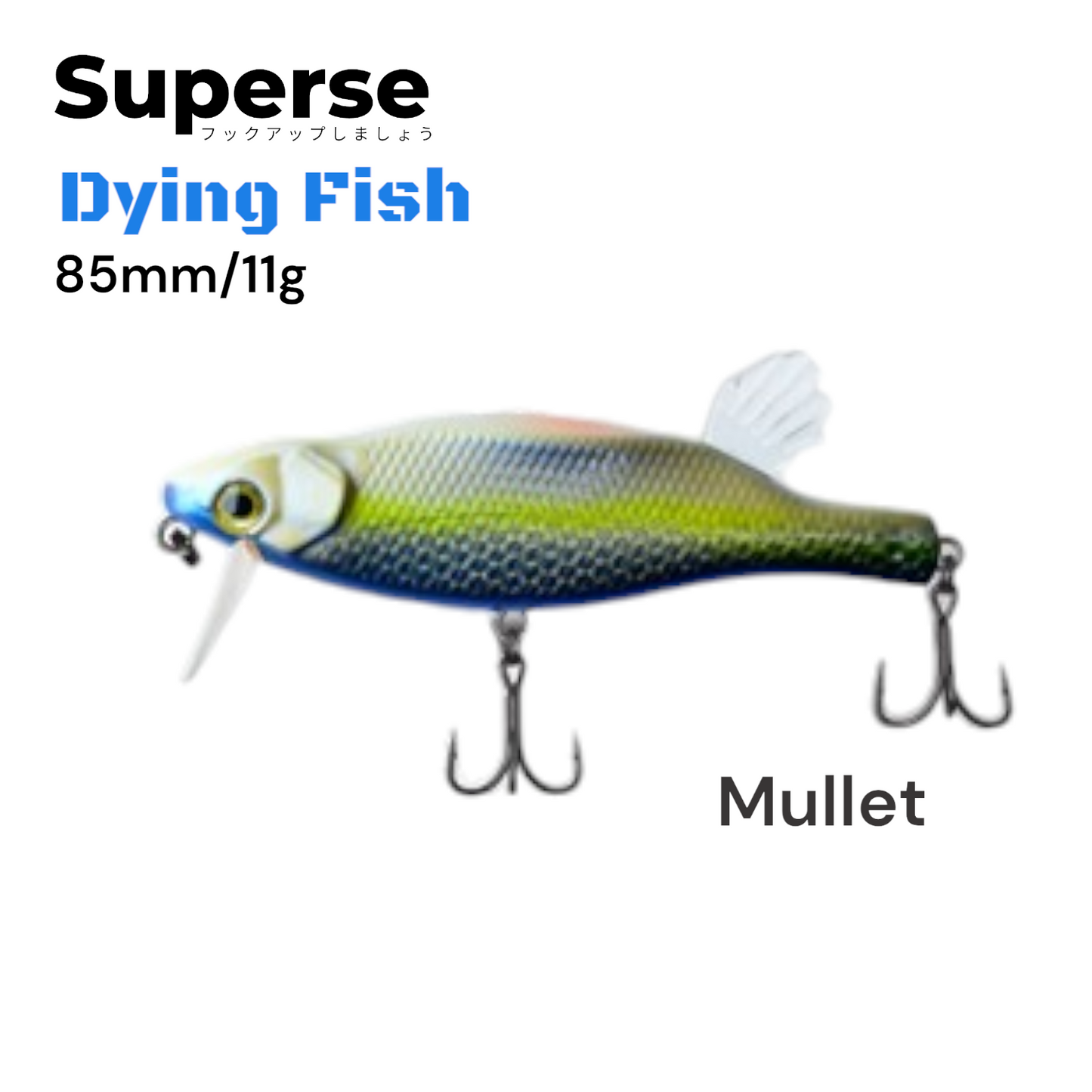 Superse Dying Fish M704