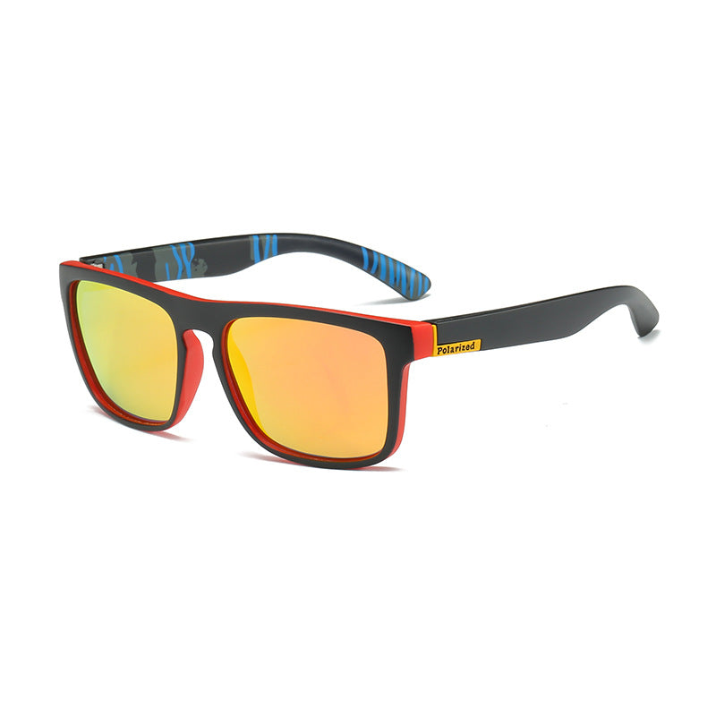 Polarized Sunglass D731