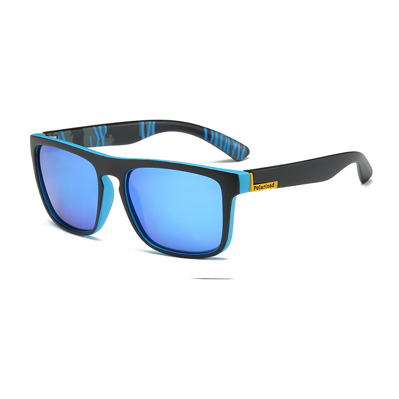 Polarized Sunglass D731