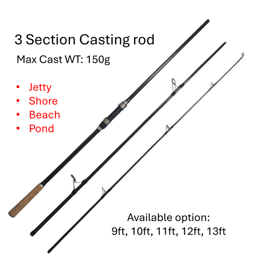 Fujispin 3 section casting rod